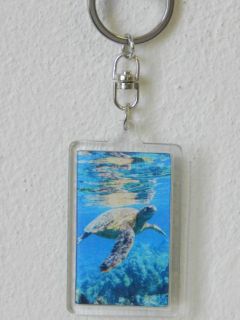 Obrázek z Klíčenka 3D 3,6x5,6cm - mořská želva(12) 